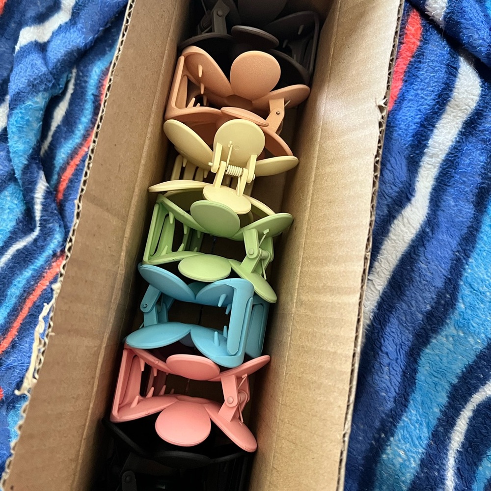 Amazon Multicolor Hair Clips Set